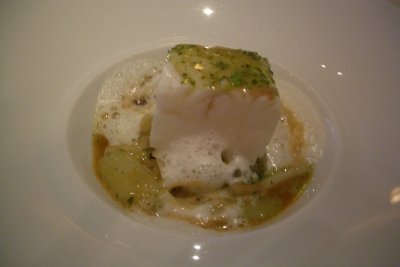 turbot